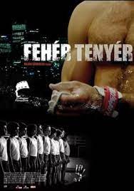 Feher Tenyer