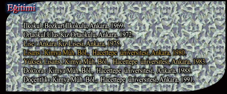 lkokul :Bozkurt lkokulu, Ankara, 1969.

Ortaokul:Ulus Kz Ortaokulu, Ankara, 1972.

Lise : Ankara Kz Lisesi, Ankara, 1975.

Lisans : Kimya Mh. Bl.,  Hacettepe  niversitesi, Ankara, 1980.

Yksek Lisans : Kimya Mh. Bl.,  Hacettepe  niversitesi, Ankara, 1983.

Doktora : Kimya Mh. Bl.,  Hacettepe  niversitesi,  Ankara, 1988.

Doentlik : Kimya Mh. Bl.,  Hacettepe  niversitesi, Ankara, 1991.

