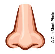 nose.jpg