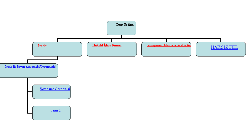 Organization Chart