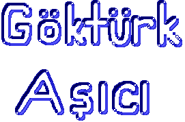 GOKTURK ASICI
